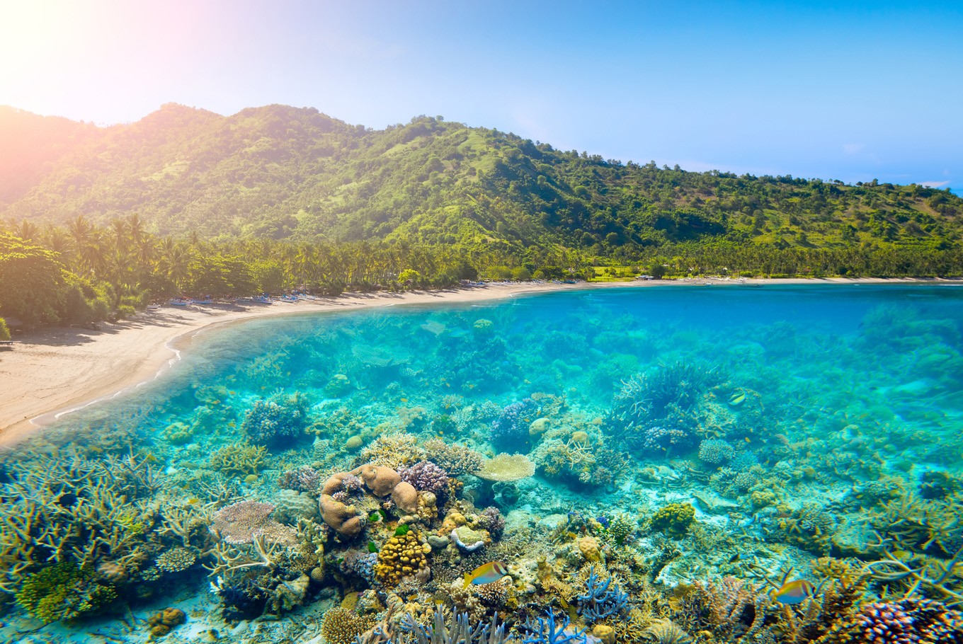 Bali Maritim Tourism Hub Berpotensi Tingkatkan Ekonomi Bali dan Kunjungan Turis Asing